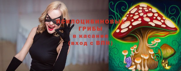 спиды Белокуриха