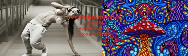 спиды Белокуриха