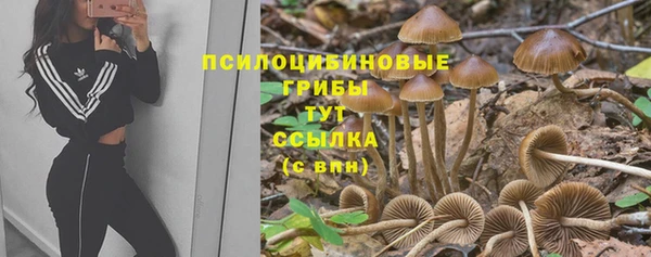 спиды Белокуриха