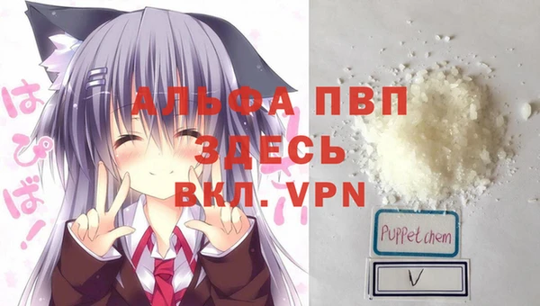 спиды Белокуриха